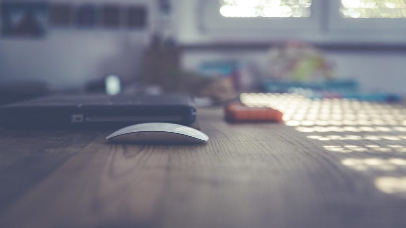 Как зарабатывать на фрилансе: преимущества, выбор биржи и лучшие категории для удалённой работы