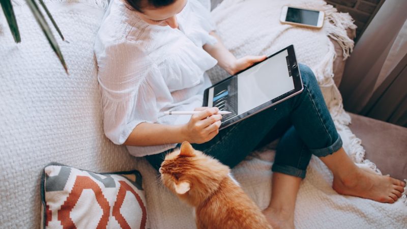 Как выбрать фриланс-биржу в Беларуси: ключевые критерии и лучшие платформы