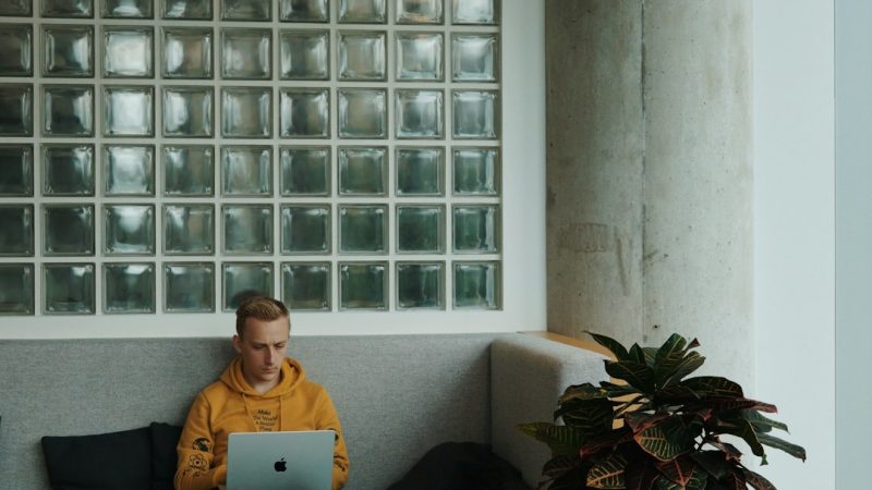 Биржи фриланса: как они работают и почему становятся ключевым инструментом для удаленной работы