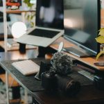 Как успешно работать удаленно на фриланс-платформе для переводчиков: преимущества и востребованные виды переводов unsplash_433.jpg