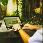 unsplash_484.jpg